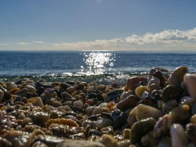 Holiday house Le Petit Paradis - Environment photo 23