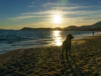 Holiday house Le Petit Paradis - Environment photo 25