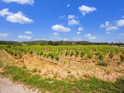 Holiday house Charming holiday home in Cotignac with private pool - Environment photo 36