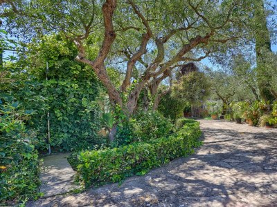 Cottage Villa Josefina - Outdoor photo 31