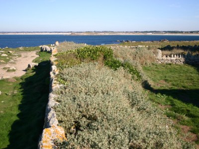 Holiday house La Torche - Outdoor photo 11