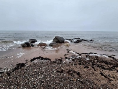 Holiday house 7 person holiday home in Gilleleje-By Traum - Outdoor photo 24