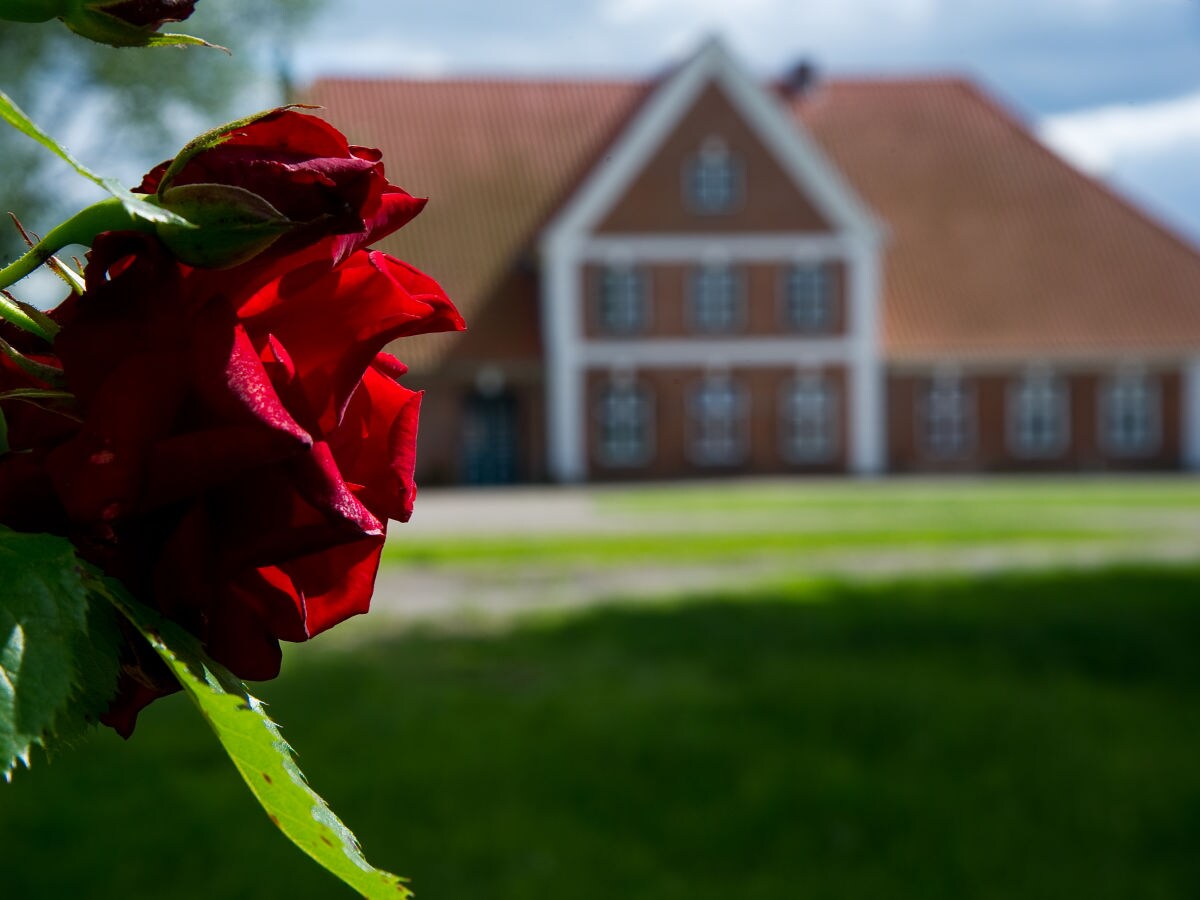 Holiday apartment Gräfin Hedwig