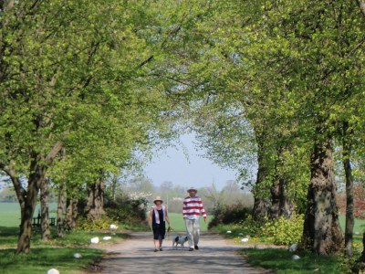 Holiday apartment Gräfin Hedwig - Environment photo 20