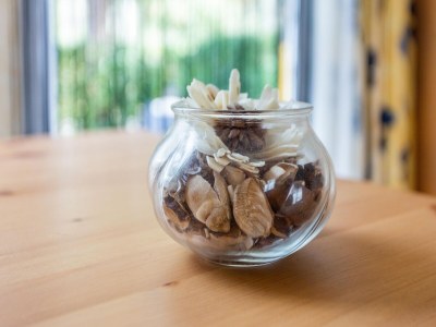 caravan Mobilheim in Var nahe Miramar Strand - Outdoor photo 38