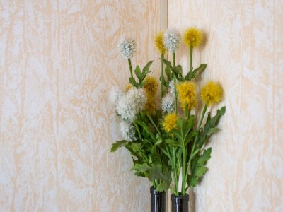 caravan Mobilheim in Var nahe Miramar Strand - Outdoor photo 39