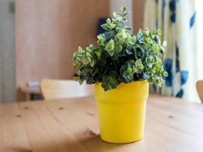 caravan Mobilheim in Var nahe Miramar Strand - Outdoor photo 40