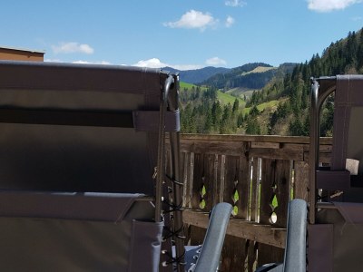 Apartment Ferienwohnung Lilly - Outdoor photo 21