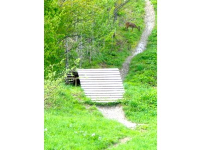 Apartment Apartment/1 Schlafraum/Bad, WC - Outdoor photo 39