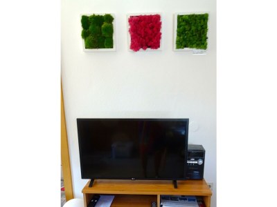 Apartment Apartment/1 Schlafraum/Bad, WC - Features photo 70