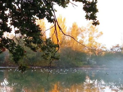 Holiday house Ferienhaus in Gargas mit Pool und Natur - Environment photo 29