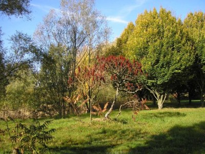 Holiday house Ferienhaus in Gargas mit Pool und Natur - Environment photo 30