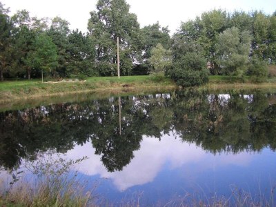 Holiday house Ferienhaus in Gargas mit Pool und Natur - Environment photo 31