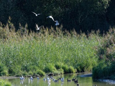 Holiday house Ferienhaus in Gargas mit Pool und Natur - Environment photo 34