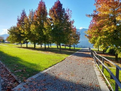 Apartment Holiday Home in Italy with Sea Views - Environment photo 28