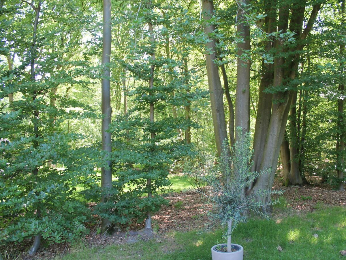 Holiday house Gemütliches Ferienhaus mit privatem Garten - Outdoor photo 4