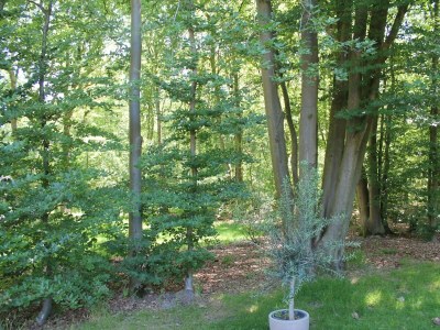 Holiday house Gemütliches Ferienhaus mit privatem Garten - Outdoor photo 4