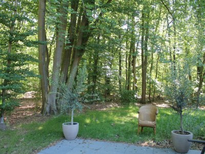 Holiday house Gemütliches Ferienhaus mit privatem Garten - Outdoor photo 11