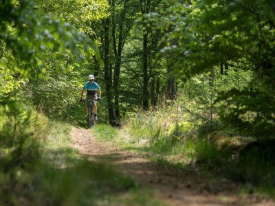 Holiday house Gemütliches Ferienhaus mit privatem Garten - Environment photo 33