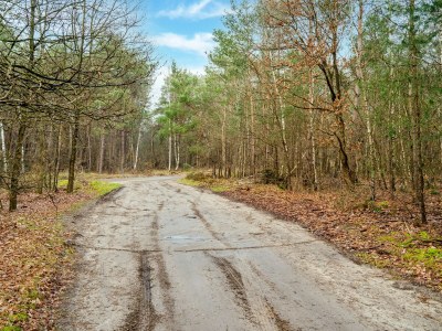 Holiday house Gemütliches Ferienhaus mit Garten - Environment photo 23