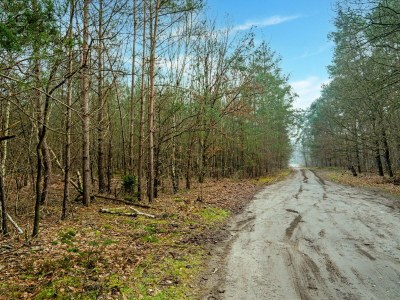Holiday house Gemütliches Ferienhaus mit Garten - Environment photo 24