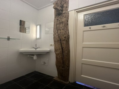 Holiday house Holiday Home in Ruinerwold with Garden - Features photo 7