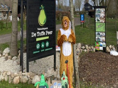 Holiday house Holiday Home in Ruinerwold with Garden - Features photo 8