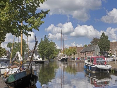 Holiday house Holiday Home in Ruinerwold with Garden - Environment photo 11