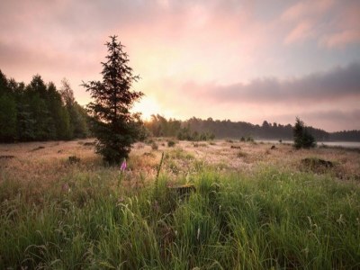 Holiday house Holiday Home in Ruinerwold with Garden - Environment photo 13