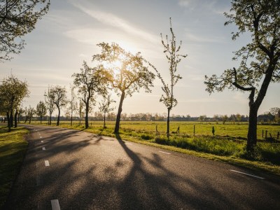 Holiday house Holiday Home in Ruinerwold with Garden - Environment photo 16