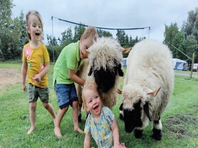 Holiday house Holiday Home in Ruinerwold with Garden - Outdoor photo 18