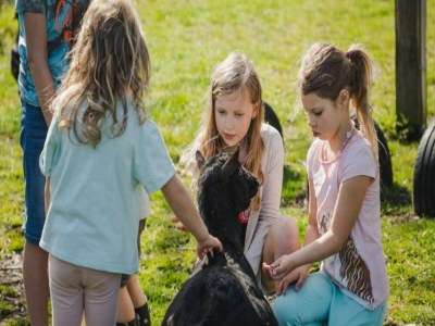 Holiday house Holiday Home in Ruinerwold with Garden - Outdoor photo 19