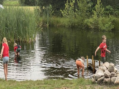 Holiday house Holiday Home in Ruinerwold with Garden - Outdoor photo 20