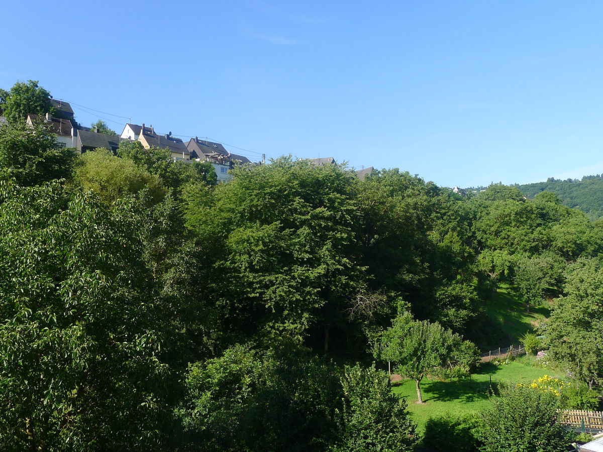 Holiday apartment Bernkastel - Outdoor photo 4