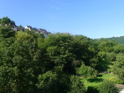 Holiday apartment Bernkastel - Outdoor photo 4