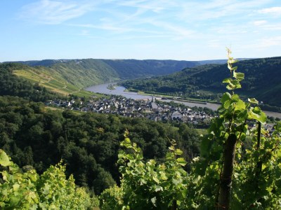 Holiday apartment Bernkastel - Environment photo 11