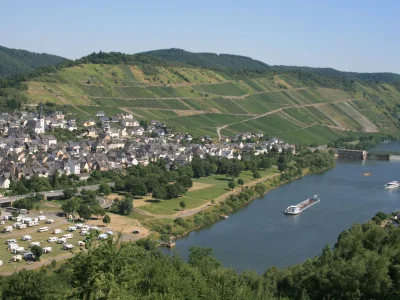 Holiday apartment Bernkastel - Environment photo 12