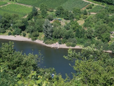 Holiday apartment Bernkastel - Environment photo 13