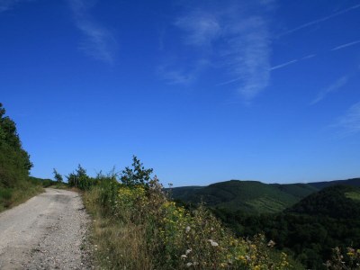 Holiday apartment Bernkastel - Environment photo 19
