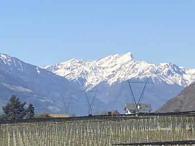 Holiday apartment Penthouse St.Helena - Environment photo 38