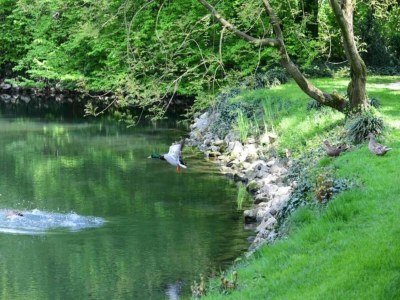 Cottage Wohnung nahe Fluss Po und Cremona - Environment photo 32