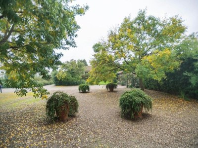 Cottage Wohnung nahe Fluss Po und Cremona - Environment photo 37