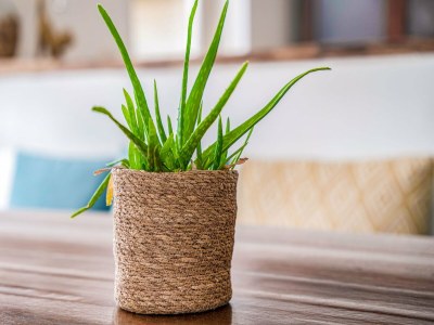 Holiday house Schönes Ferienhaus in Zeewolde mit Pool - Outdoor photo 39