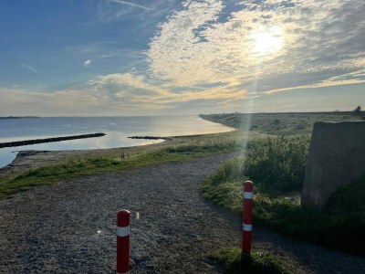 Holiday park Lodge near Brouwersdam & North Sea Beaches - Environment photo 14