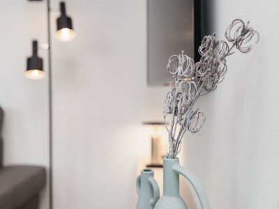 Holiday park Lodge near Brouwersdam & North Sea Beaches - Outdoor photo 23