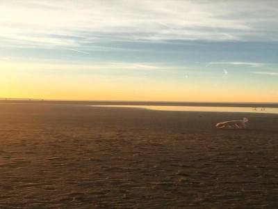 Holiday park Lodge nahe Brouwersdam & Nordseestrand - Environment photo 15