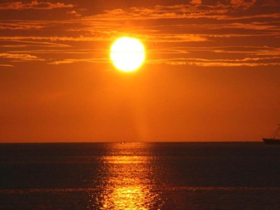 Holiday park Lodge nahe Brouwersdam & Nordseestrand - Environment photo 18