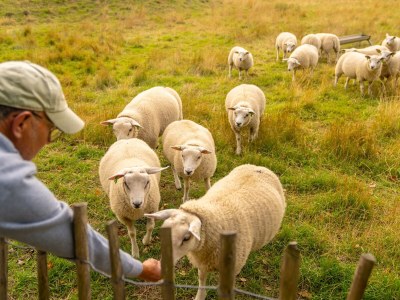 Holiday park Lodge nahe Brouwersdam & Nordseestrand - Outdoor photo 34