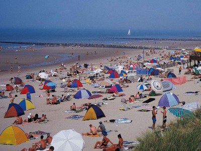 Holiday apartment De Schelde 302 - Environment photo 13