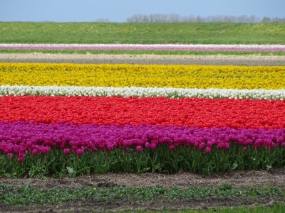 Holiday apartment De Schelde 302 - Environment photo 15